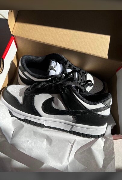 Nike dunk sb
