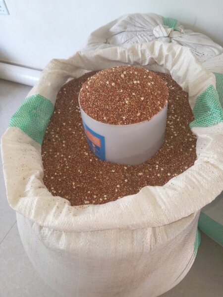 Millet