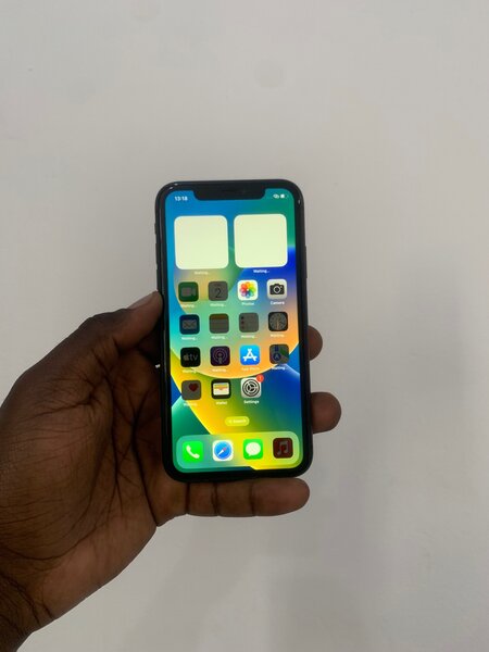 iPhone X