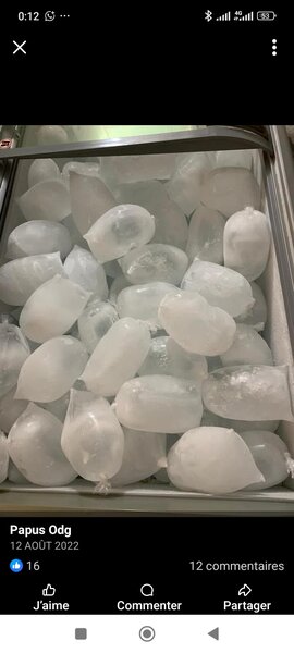 Glaçons en sachets pratiques