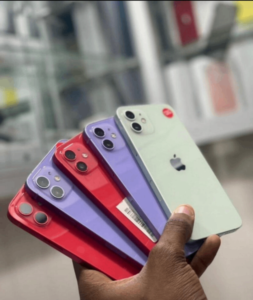 iPhone 12 Variétés Couleurs