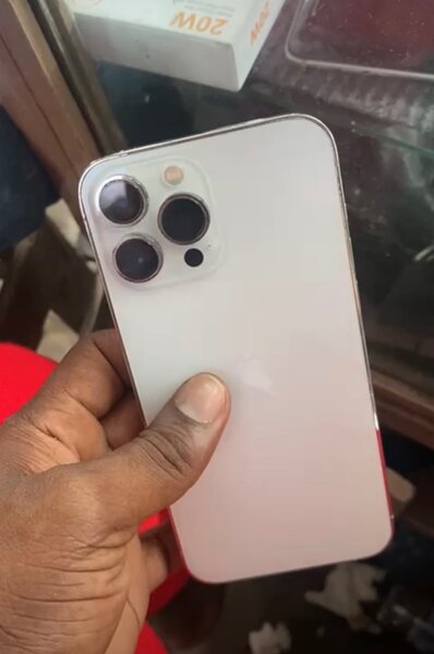 iPhone 13 Pro Max