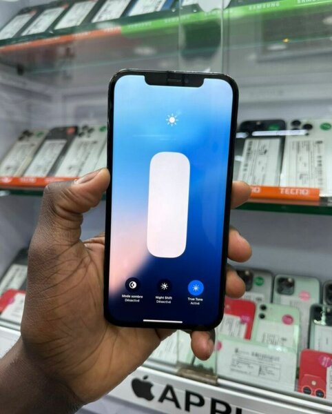iPhone 12 Pro Max 256GB Bleu