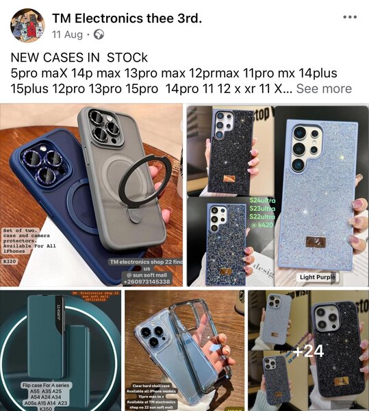 TM Electronics 