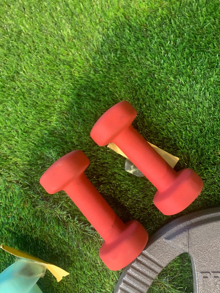 Dumbbells- 2kg