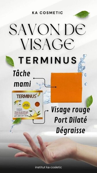Terminus Face Soap