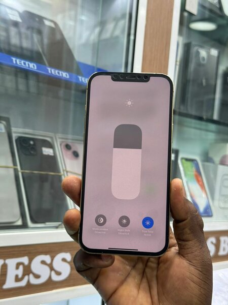 iPhone 12 Pro Max