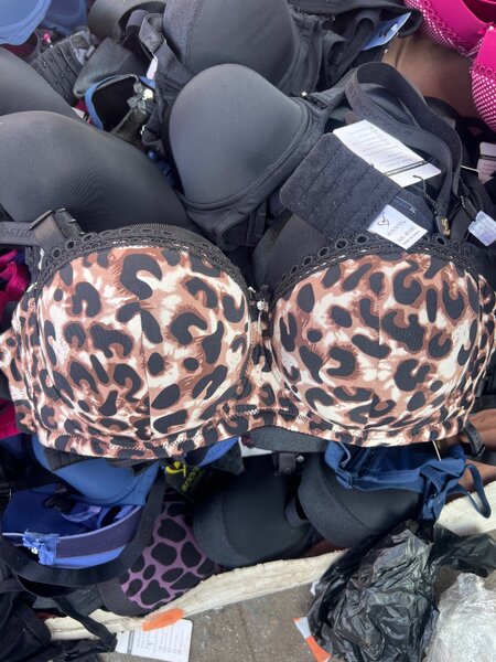 Womens Bra