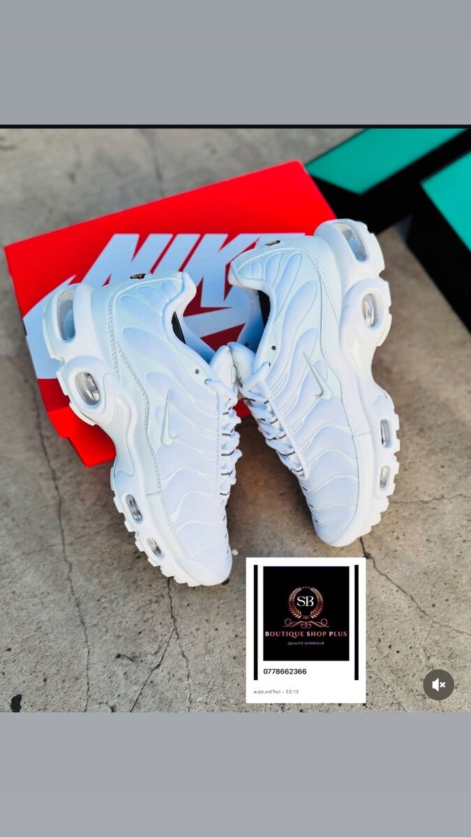 Basket Nike tn Authentique avec sa boîte
