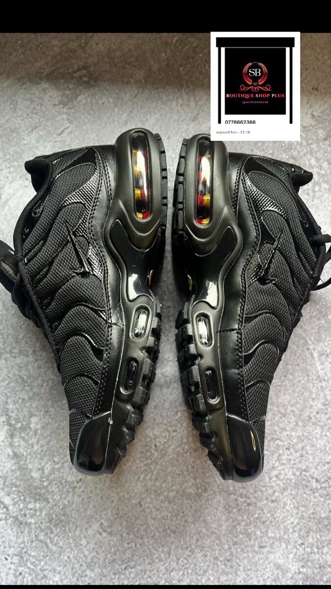 Basket nike tn authentique avec sa boite