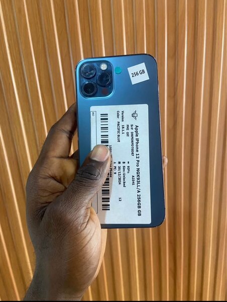 Smartphone 256Go Haut de Gamme