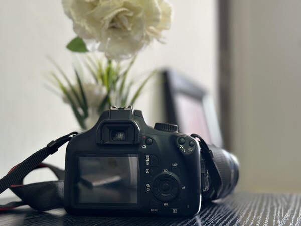 Canon 4000d with efs 18-55 lens