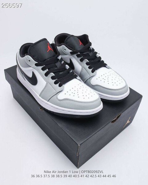 Jordan 1 low cut
