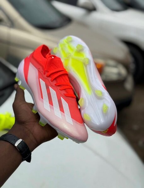 Paire de magre