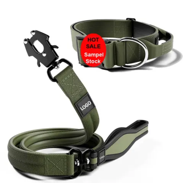 Laisse & Collier Tactique Pro