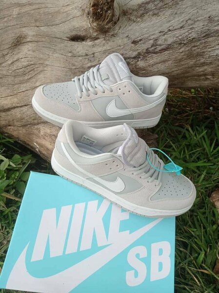 Jordan SB dunk low cut
