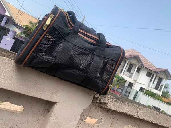 Pet Bag