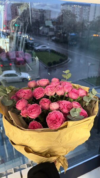 Пионы