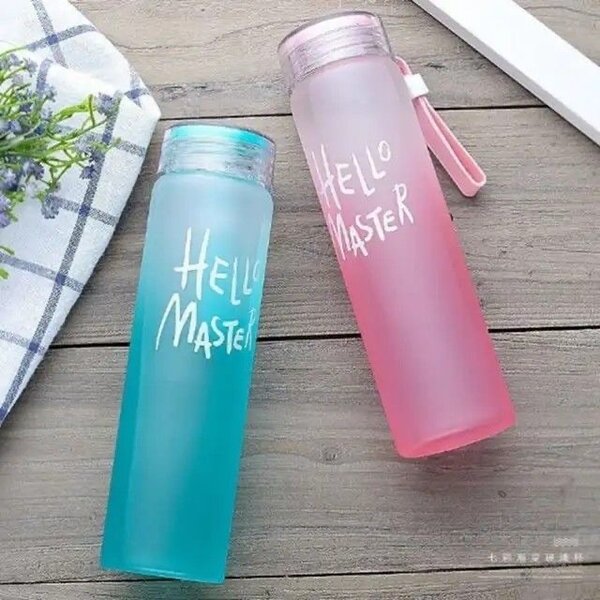 Bouteille "Hello Master" 500ml