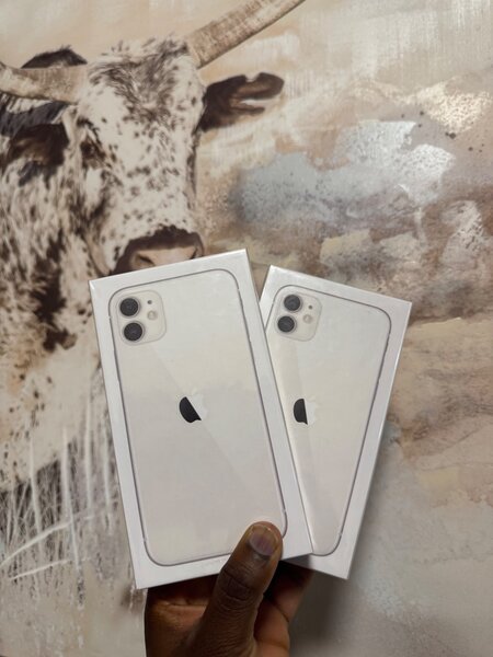 Brand new iPhone 11