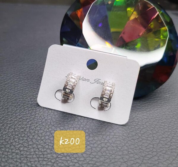 Jewelry earrings