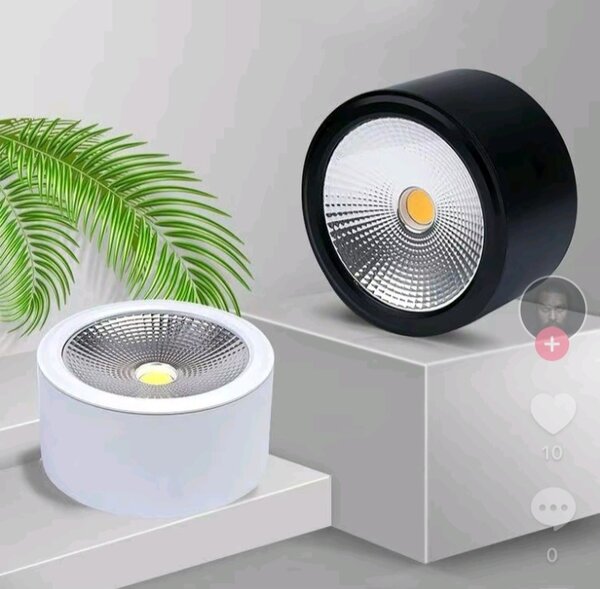 Ceiling light