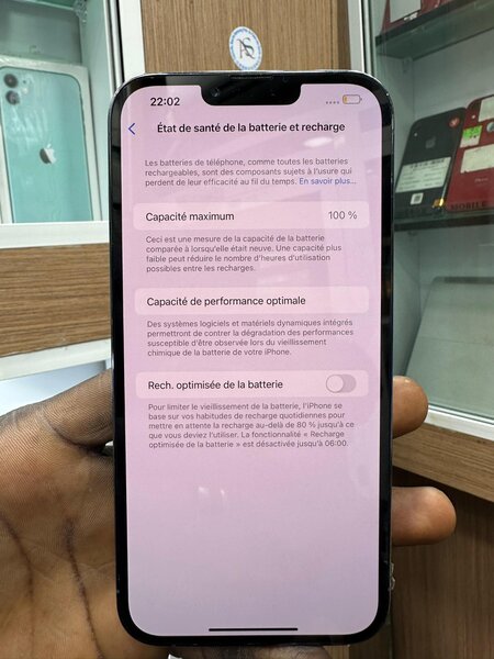 iPhone 13 Pro Max