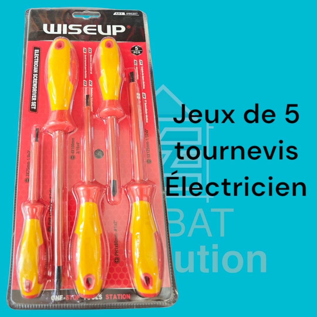 Set de 5 tournevis électricien