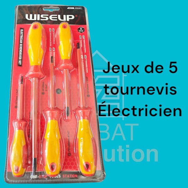 Set de 5 tournevis électricien