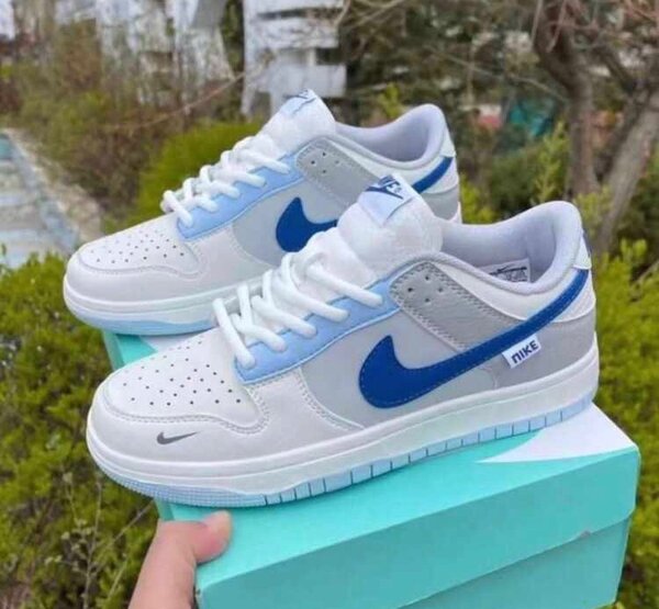 Nike SB sneakers