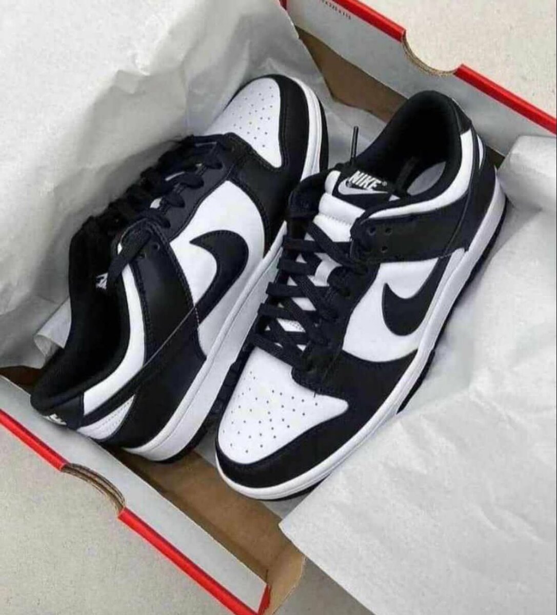 Nike Sb Dunk low