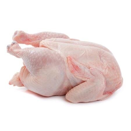 Poulet de chair