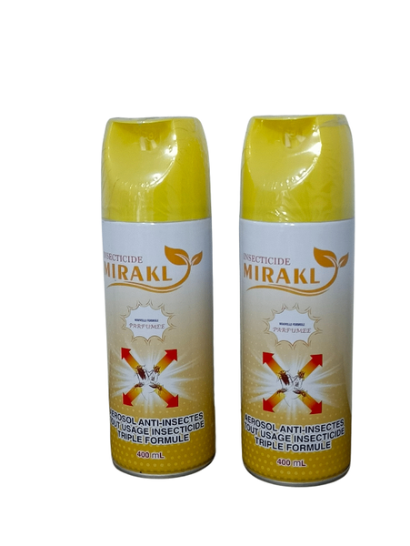 Aérosol Insecticide Polyvalent 400ml