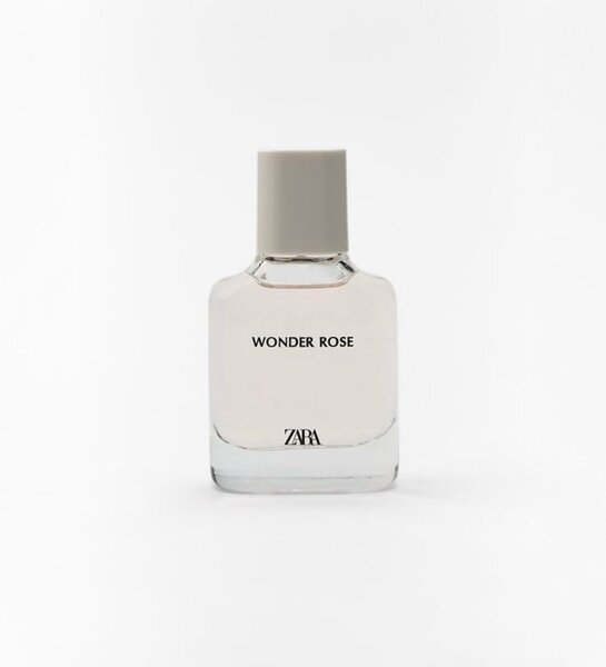 Zara- wonder rose