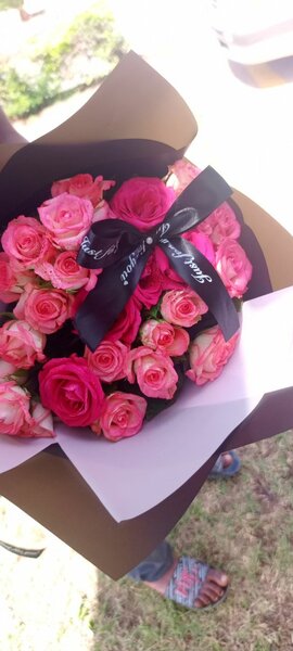 Roses