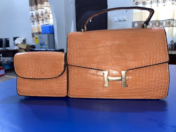 2 in 1 ladies bag
