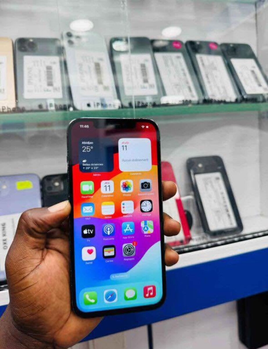 iPhone 12 Pro Max 256Go