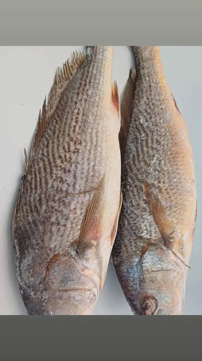 Sosso américain