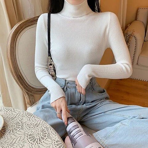 PULL COL ROULE DAME