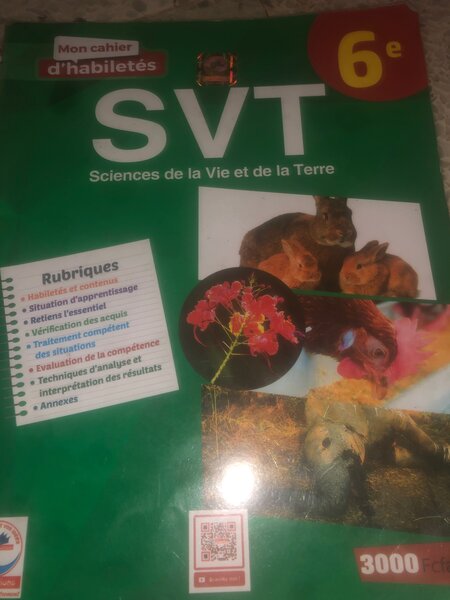 Livre d´Anglais 6e