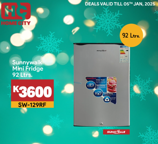 Mini Fridge