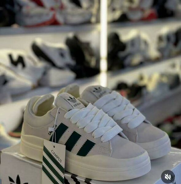 Adidas cumpus