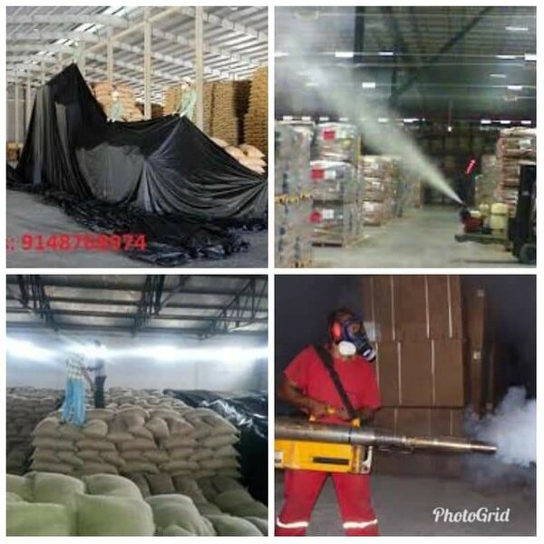 Pest Control and Fumigation Services
