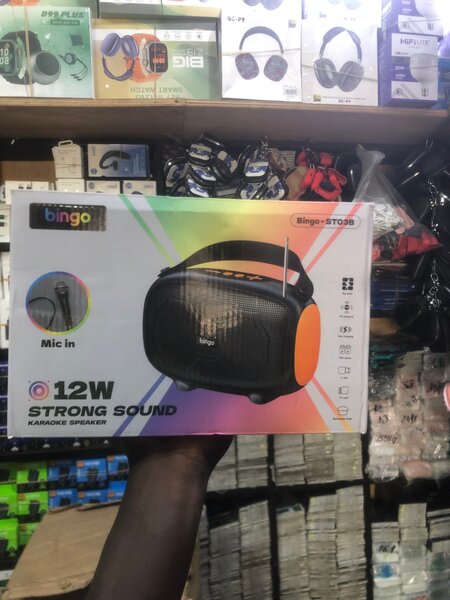 Haut-parleur Karaoke Bingo 12W