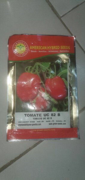 Graine de tomate UC 82 B