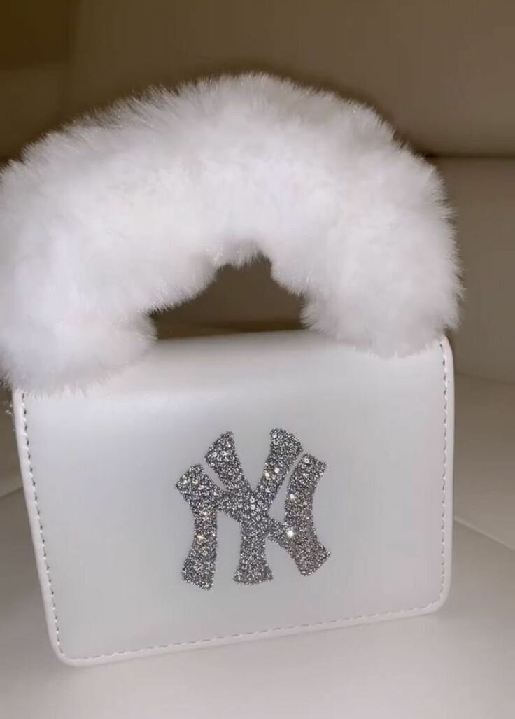 Ladies bag