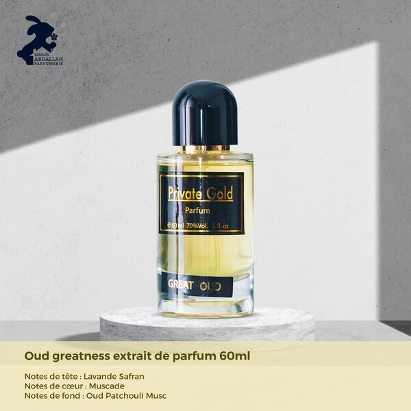 Oud greatness parfum 60Ml pour homme