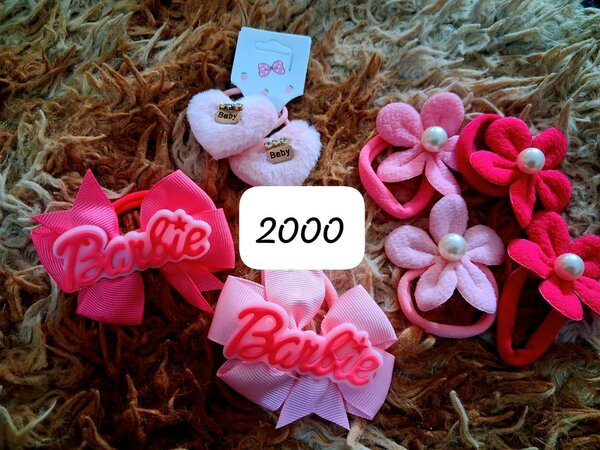 Lot de Barrettes Colorées