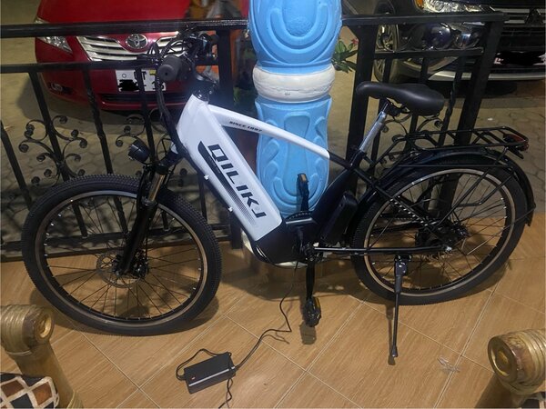 Electronic bike