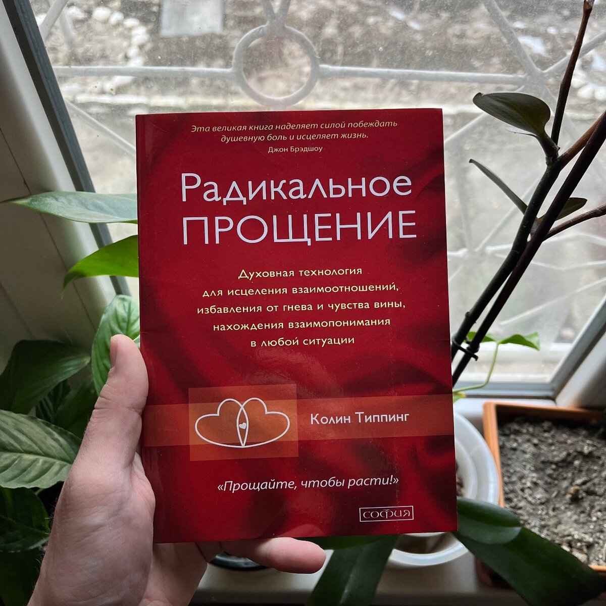 Радикальное прощение